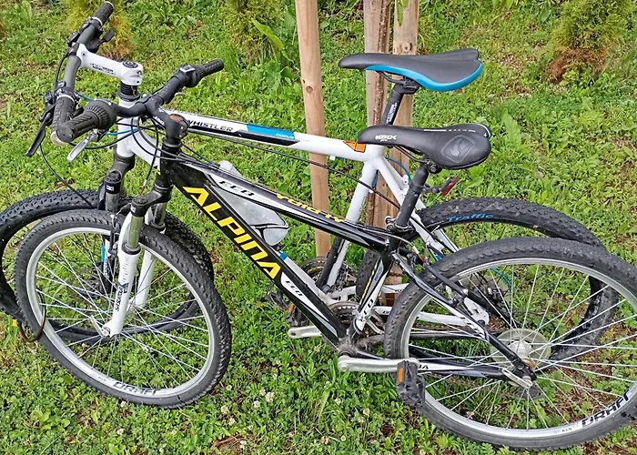 Alpehytte Chata Circ Circ